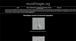 Desktop Screenshot of neuralimages.org