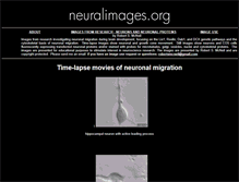 Tablet Screenshot of neuralimages.org